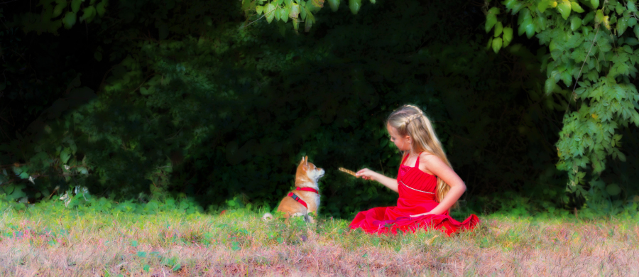 Shiba Inu, model, modeling, child model, female, dog, pet, animal, girl, blonde, Hayley Elizabeth,