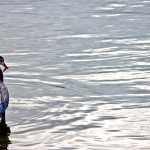 animal, wildlife, nature, portrait, wildlife photography, wildlife photograph, wildlife portrait, nature photography, nature photograph, nature portrait, animal photography, animal photograph, animal portrait, natural habitat, bird, heron, great blue heron, blue heron, birds of prey, water bird, Florida wildlife, Tampa Bay