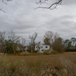 A white house sits at the edge of barren, grassy, natural swamp land, surrounded by trees shown on an cloudy overcast day.