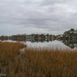 Larchmont, Virginia, Norfolk, Larchmont Norfolk, neighborhood, LaFayette River, peaceful, charming, tranquil, Edgewater, Hampton Roads, Tidewater, Norfolk Virginia, landscape