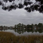 Gray overcast skies provide a softly textured backdrop for a view looking out at the LaFayette River from the Larchmont neighborhood in Norfolk, VA towards the opposite shore of the same neighborhood, showing an undulating line of evergreen trees reflected in the water and a line of pampas grass mirroring the reflected treeline with a swath of water between the two elements.
