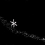 snowflake, Norfolk, Virginia, Alanamous, crystal, frozen, white, flake, contrast, formation, structure, macro, detail, star, black