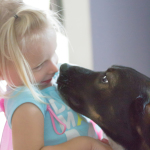 Puppy kissing toddler girl, dogs, adorable, dog, animal, pet, portrait, pet photography, animal portrait, pet portrait, Norfolk, Virginia, Norfolk Virginia, animal photography, pet photography, animal photograph, pet photograph