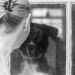 Dog looking out window girl looking inside