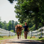 animals,, equestrian, rescue horse, Donna Maria St. John, animal, animals, horse, farm,, Virginia,, animal photography, animal, animals, horse, farm, Pungo Virginia,, animal photography